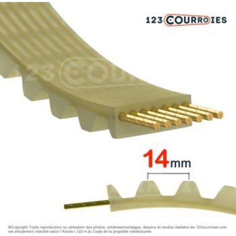 Courroie simple dentée super torque 1568-S14M55-PUK