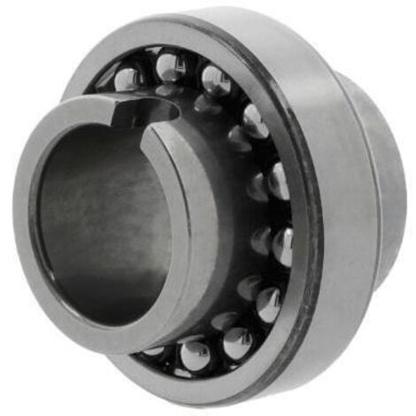 Roulement à rotule sur billes 11209 TN9 int 45mm Ext 85mm Ep. 58mm SKF (1/2)