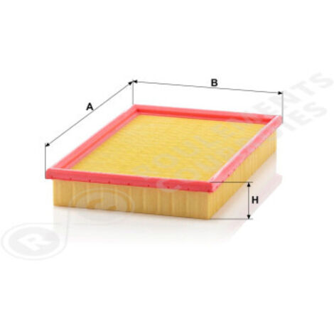 Filtre à air Mann Filter C2991/1