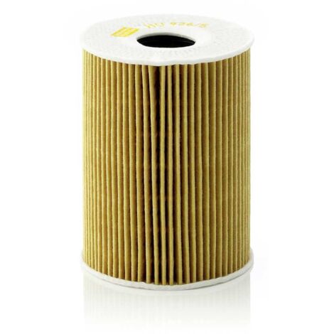 FILTRE À HUILE MANN FILTER BMW 5.0 E60/E63