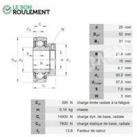 Roulement de palier GRAE25-NPP-B-INA
