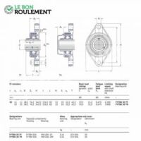 Palier composite FYTBK30-TF-SKF