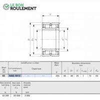 Roulement à rouleaux cylindriques NAG4913-IKO
