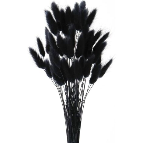 50 herbes de queue de lapin séchées noires, ne se fanent jamais, pour décoration maison et mariage (1/5)