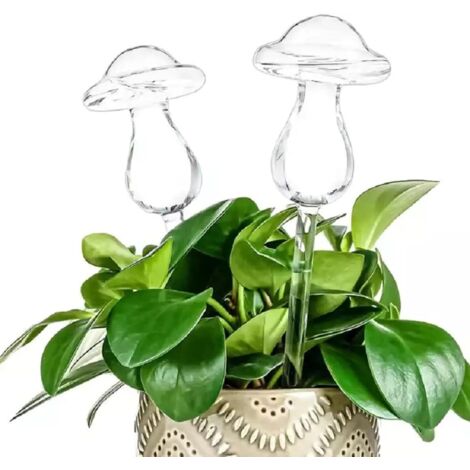 Lot de 2 Globes d'arrosage, Verre soufflé, Forme champignon, Transparent, 250ml, Pour plantes intérieur extérieur (1/5)