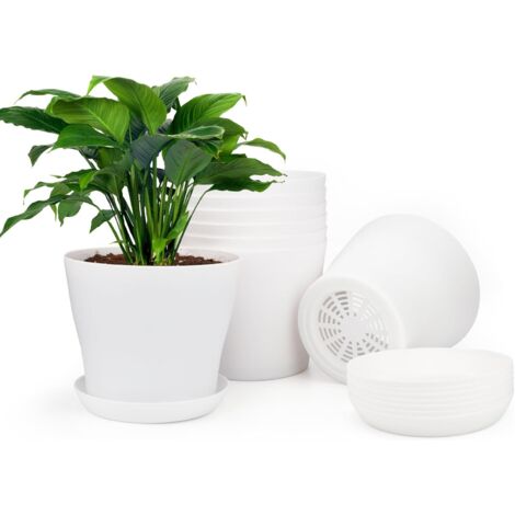 8 Pots plastique, diamètre 10 cm, avec soucoupe, trous drainage, pour plantes succulentes, cactus, intérieur extérieur (1/5)