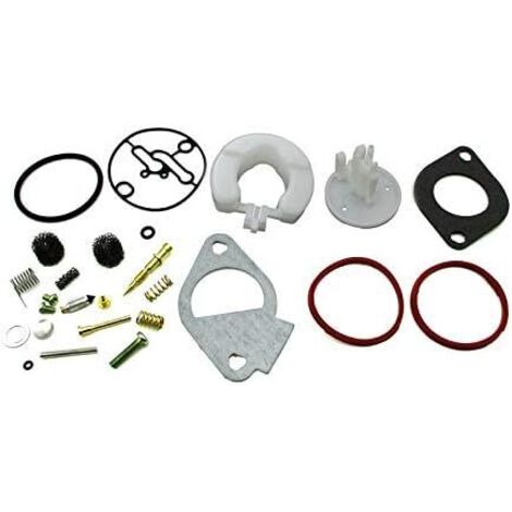 Kit de réparation carburateur pour tondeuse à gazon Briggs-Stratton 11HP-19HP Master Overhaul carburateurs Nikki - (1/4)