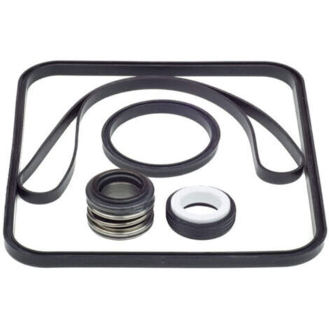 Kit de Joints d'Étanchéité en O-Ring pour Pompe Hayward SPX1600TRA – pour Corps et Diffuseur
