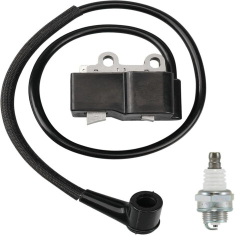 Bobine d'Allumage de Remplacement pour Souffleur à Feuilles - Réf. A411001620 - Compatible EB600RT, PB-580H, PB-580T (1/3)