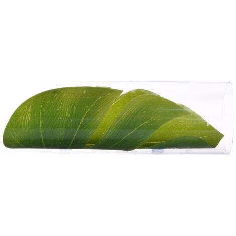 Tunnel d'Observation en Acrylique pour Aquarium - Tube Creux Transparent avec Feuilles pour Poisson, Stimule l'Exploration (1/4)