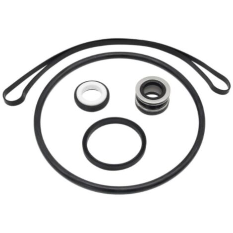 Kit de réparation de joint torique pour connecteur de câble Hayward Super II - compatible avec les pompes SP3000X, SPX1600Z2 et PS-201 (1/4)