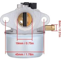 Kit Carburateur 799868 498170 pour Briggs & Stratton 124T02 124T07 126M02 129700 12V800 - Poire Amorçage Filtre Air