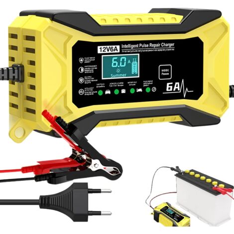 Chargeurs de Batterie Automobile 12 Volts - Chargeur d'entretien (1/5)
