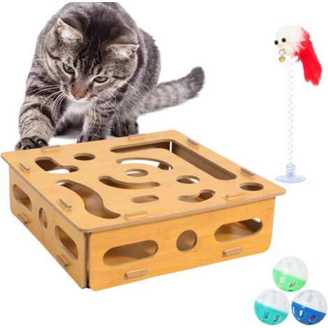 Jouet puzzle pour chat - stimulation mentale pour chatons - pêche de jeu (1/5)