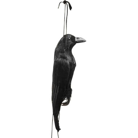 Leurre Corbeau pour Attirer Les Oiseaux - Appât de Chasse Décor Jardin (1/5)
