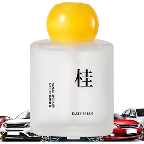 Désodorisant Pour Voiture - Décor Aromathérapie Thé Automobile - Décoration (1/5)