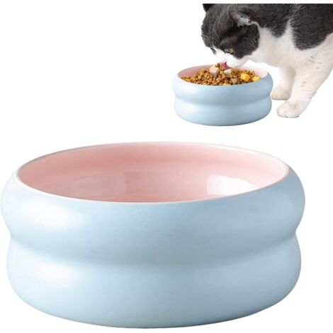 Bol pour Chiens - Bol À Eau en Céramique pour Chat - Plat pour Chiens et (1/5)