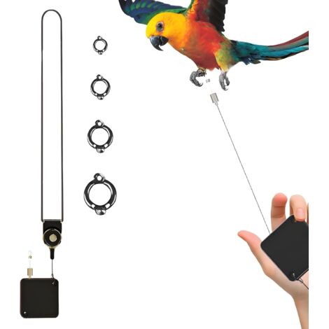 Chaîne de cheville pour oiseau - En acier inoxydable - Auto - enroulable - (1/5)