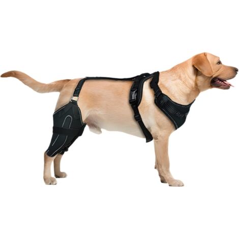 Genouillère Chien - Harnais Enveloppant Ajustable Chaud pour Genou -