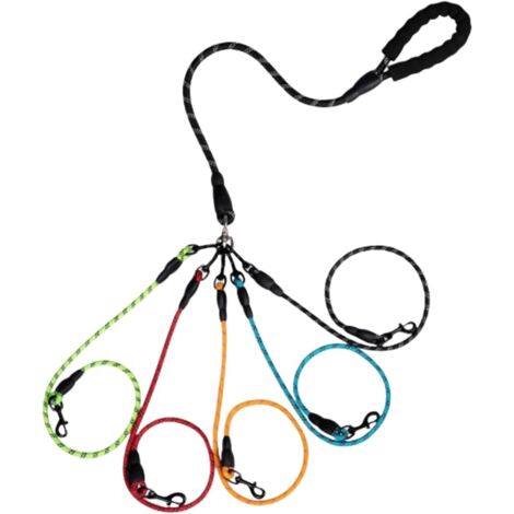 Laisse De Traction pour Chien - Laisse De Course pour Animal De Compagnie (1/5)