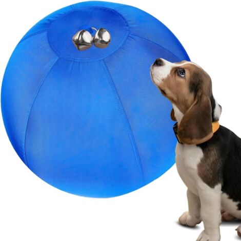 Balle De Rassemblement pour Chien - Grand Jouet pour Animaux - Accessoire (1/5)