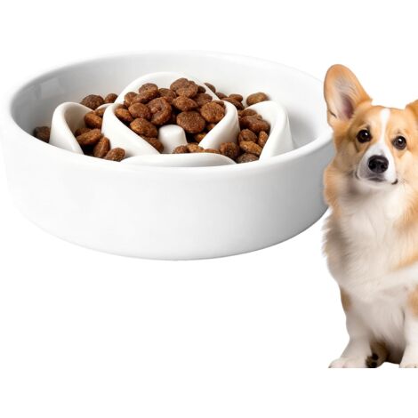 Bol à Alimentation Lente pour Chien - Jeu De Puzzle Interactif - Bol De Jeu (1/5)