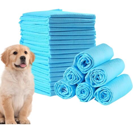Alèses pour Chien - Protection Absorbante Jetable pour Chien - Lot de 100