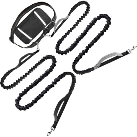 Laisse pour Chien - Longe pour Chien avec Ceinture Portefeuille - Sangle (1/5)
