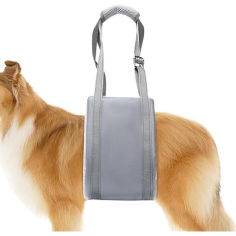 Harnais de Soutien pour Chien - Harnais Réglable de Soutien avec (1/5)