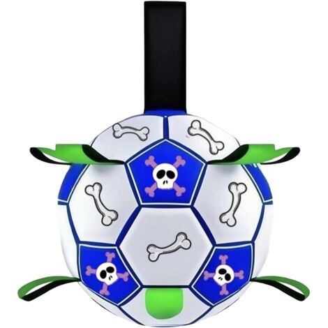 Ballon De Foot pour Chien - Ballon De Football Interactive pour Le (1/5)