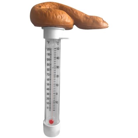 Thermomètre de piscine flottant amusant en forme de crottes de -