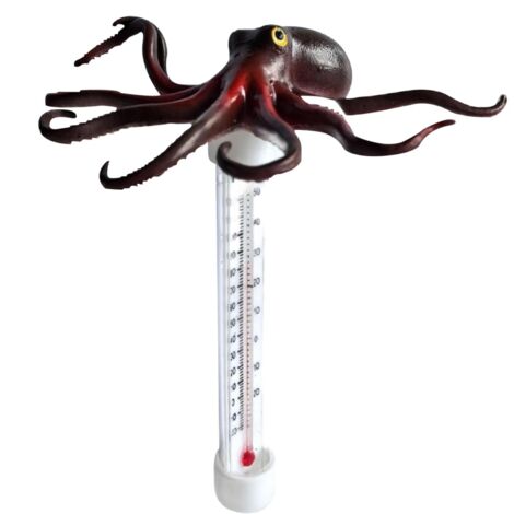 Thermomètres Flottants Pour Piscine - Thermomètres de Piscine Extérieure - (1/5)