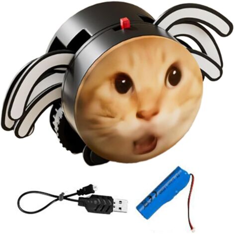 Jouet pour Chat Araignée - Araignée Robotisée Rampante Jouet pour Chaton - (1/5)