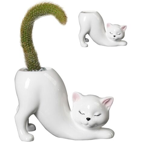 Pots de Planter succulentes en céramique pour Chat sans Queue - Pot créatif (1/5)