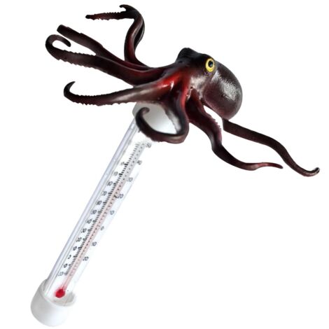 Thermomètres de Piscine - Thermomètres de Piscine Extérieure - Design (1/5)