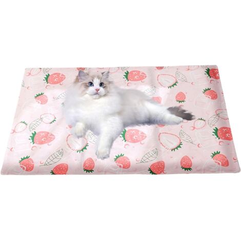 Tapis Rafraîchissant pour Chats Rafraîchissement Instantané Antidérapant (1/5)