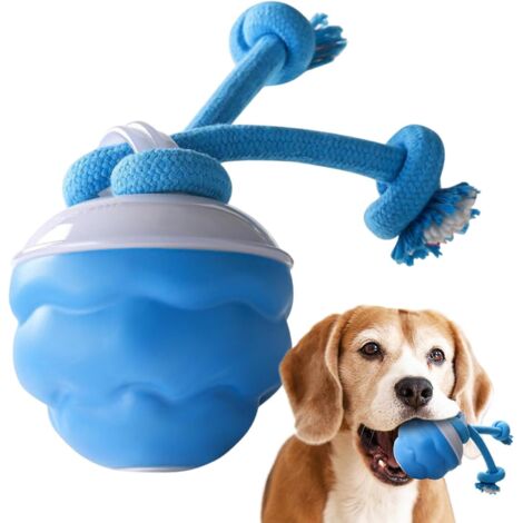Balle Interactive pour Chien, Roulante Active pour Chiens, Jouets pour (1/5)