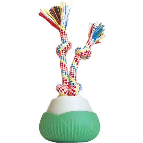 Balle Jouet Interactive pour Chat,Jeux Automatiques Électriques Roulants (1/5)