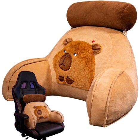 Capybara Coussin de Lecture Ergonomique et Doux avec accoudoirs pour (1/5)