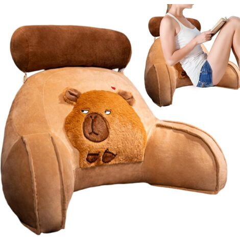 Oreiller de Repos au Lit avec Accoudoirs Dossier Ergonomique Doux au (1/5)