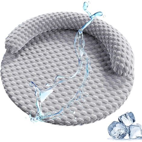 Juguete Masticable de Felpa para Perros, Chirriador BB (1/5)