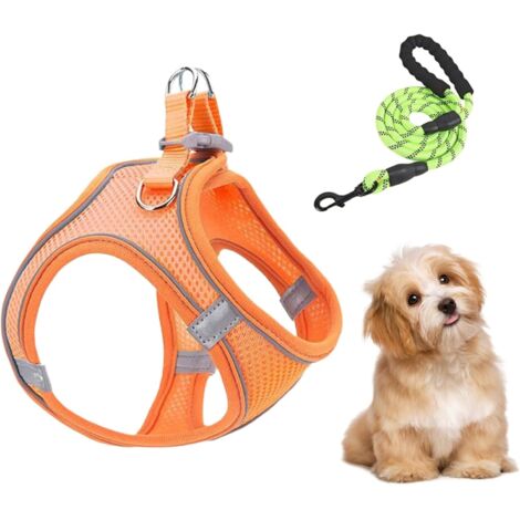 Pelota Interactiva de Juguete para Perros, Entretenimiento (1/5)