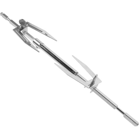 Fourchettes à Poulet Rôti en Acier Inoxydable Brochette (1/5)