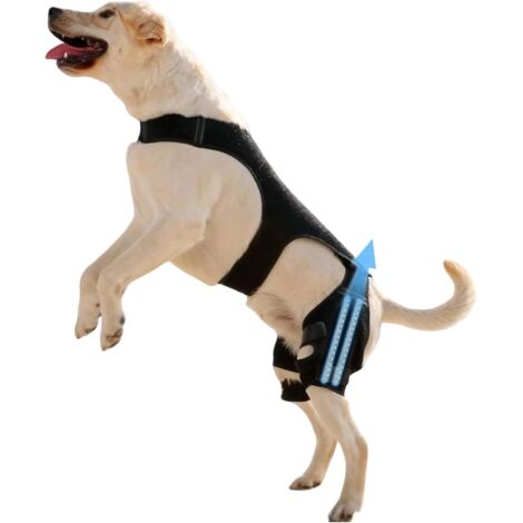 Genouillère pour Chien - Manche Articulaire Réglable (1/5)