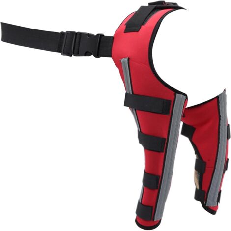 Genouillère pour Chien,Protection des Blessures du Genou (1/5)