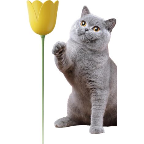 Amuseur Électrique pour Chat - Enrichissement en Forme De (1/5)