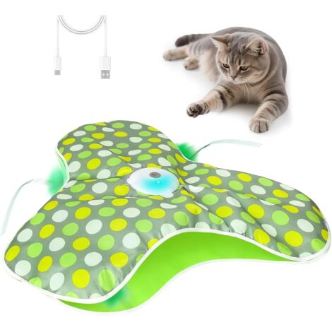 Jouet Interactif Pour Chat Jeu de Teasers Silencieux et (1/5)
