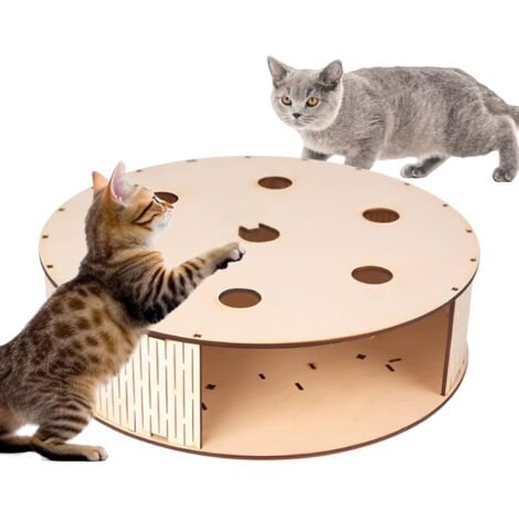 Jouets D'enrichissement pour Chats,Jeu D'Attrape Souris en (1/5)