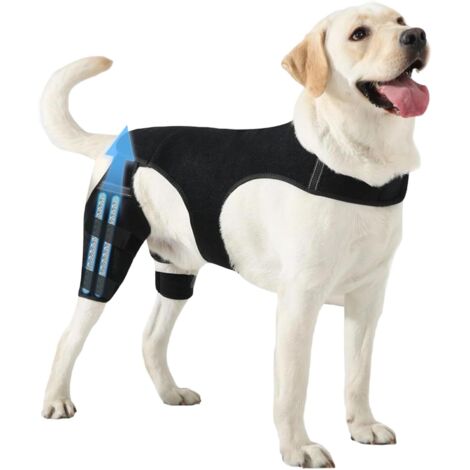 Genouillères pour Chien Patte Arrière Manchon Articulaire (1/5)