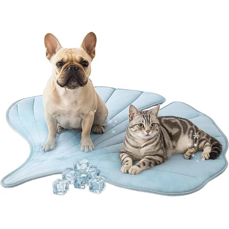 Tapis Rafraîchissant pour Chiens - Couverture (1/5)